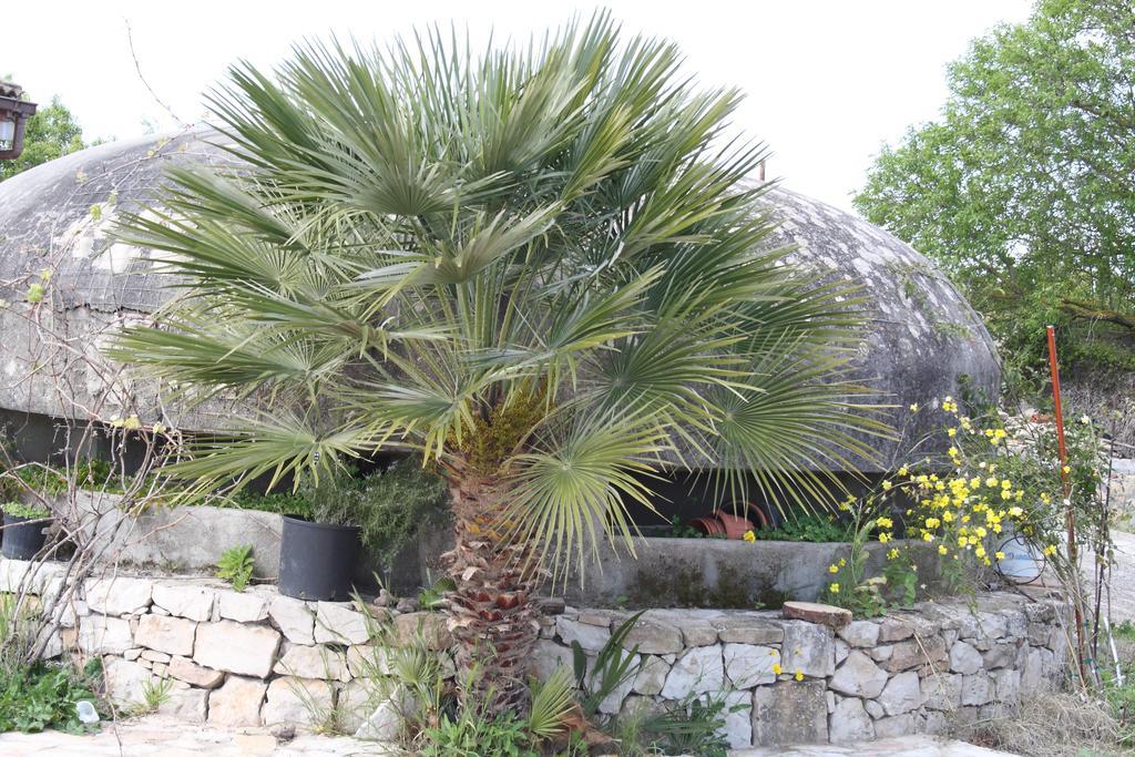 Villa La Scaletta Alghero Værelse billede