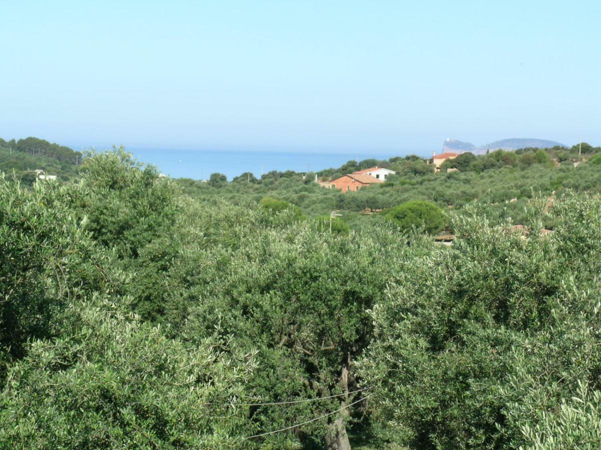 Villa La Scaletta Alghero Eksteriør billede